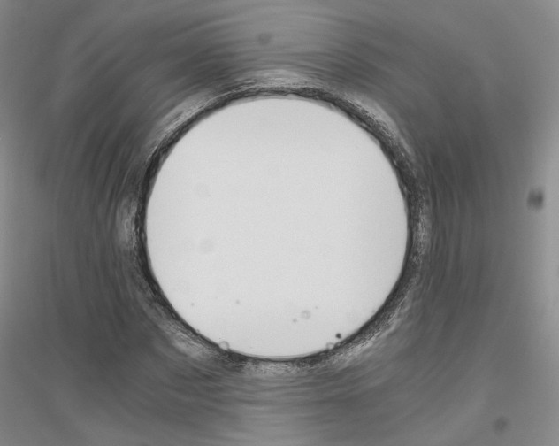 X0000116860873201002021104