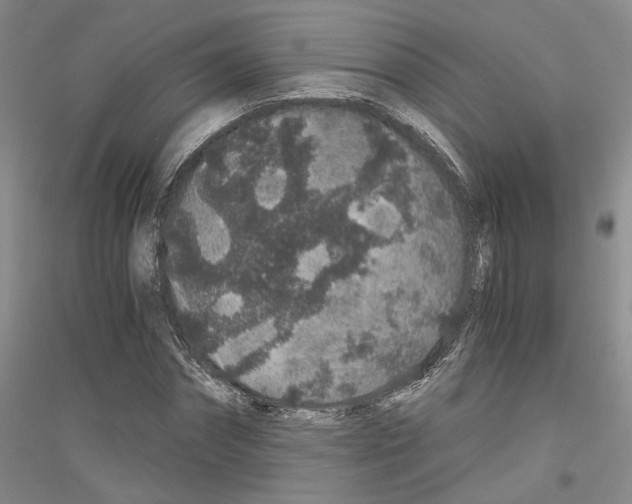 X0000116860874201002021104