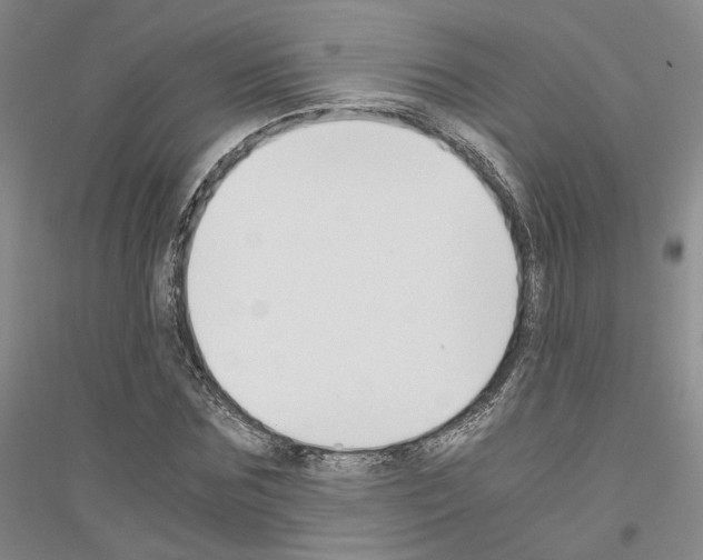 X0000116860875201002021104