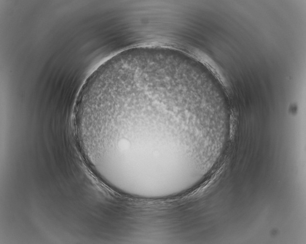 X0000116860876201002021104