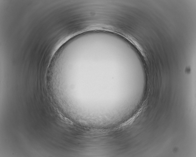 X0000116860877201002021104