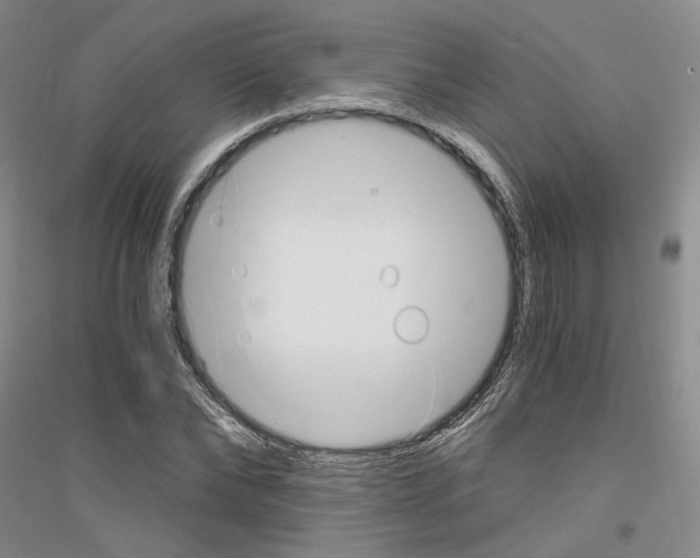 X0000116860878201002021104