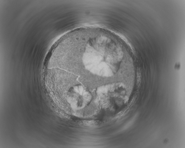 X0000116860879201002021104