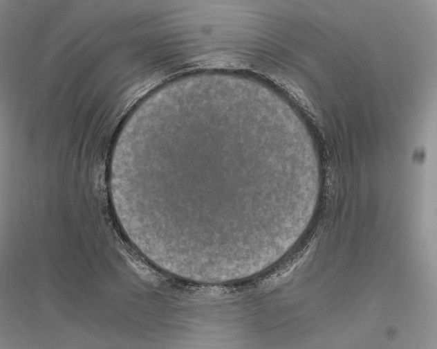 X0000116860881201002021104