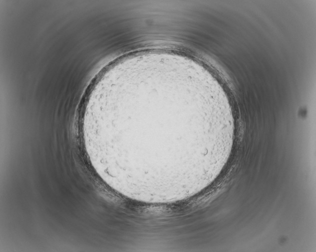 X0000116860883201002021104