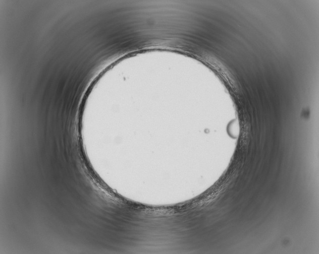 X0000116860884201002021104