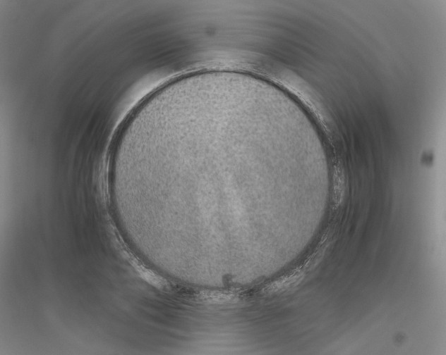 X0000116860886201002021104