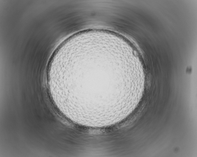 X0000116860887201002021104