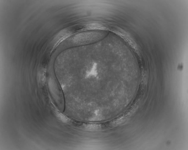 X0000116860889201002021104