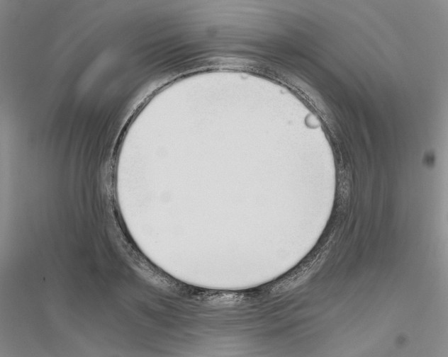 X0000116860891201002021104