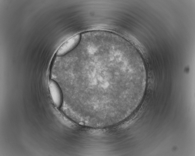 X0000116860892201002021104