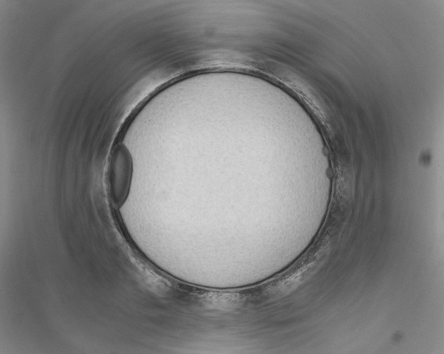 X0000116860893201002021104