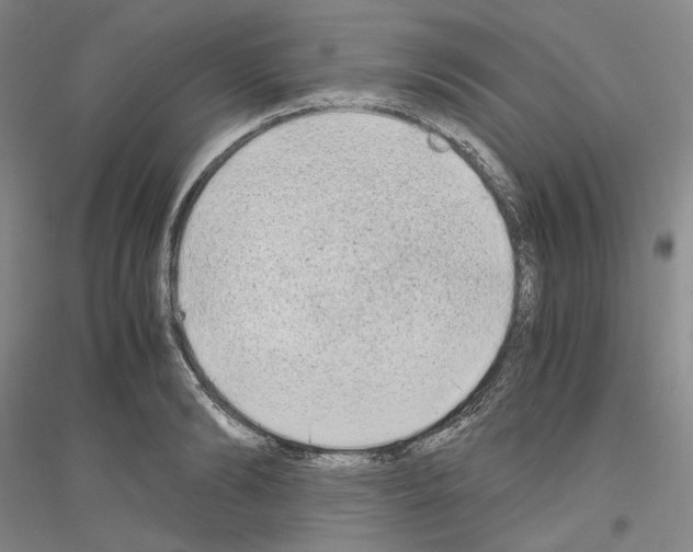 X0000116860894201002021104