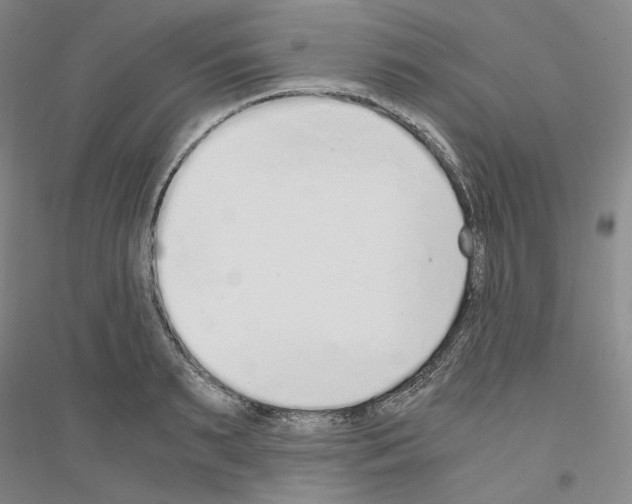 X0000116860895201002021104