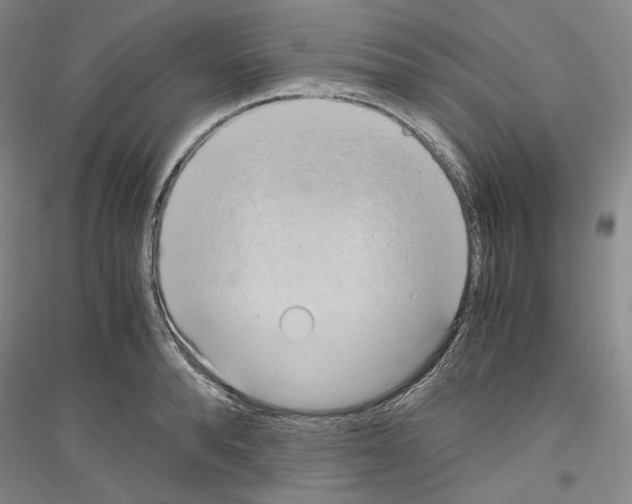 X0000116860896201002021104