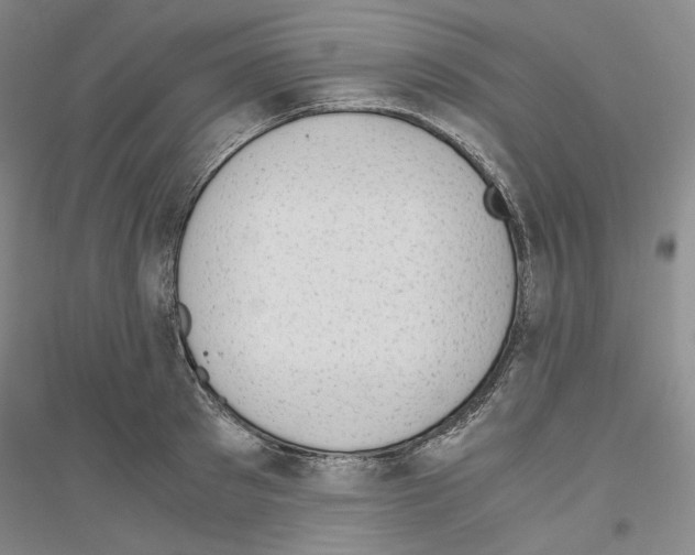 X0000116860897201002021104