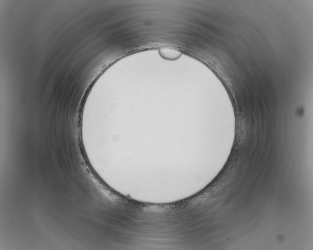 X0000116860898201002021104