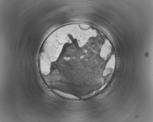 X0000116860899201002021104