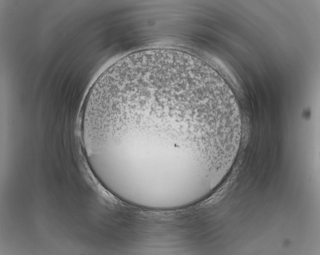 X0000116860900201002021104