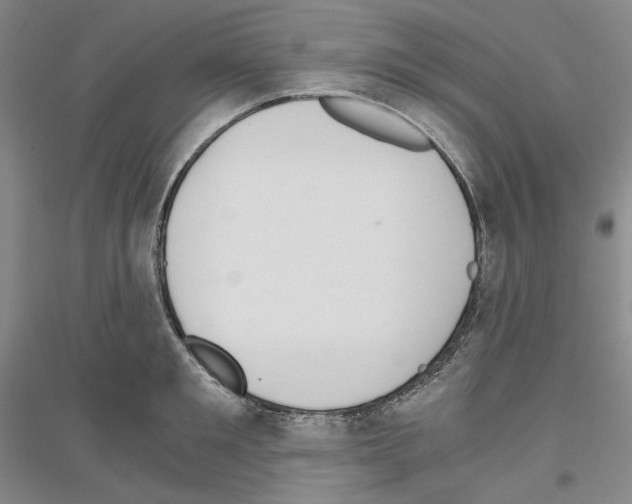 X0000116860901201002021104