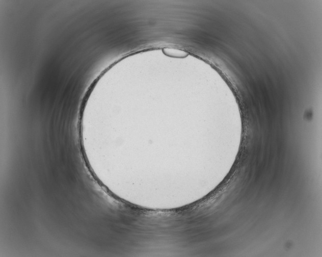 X0000116860902201002021104