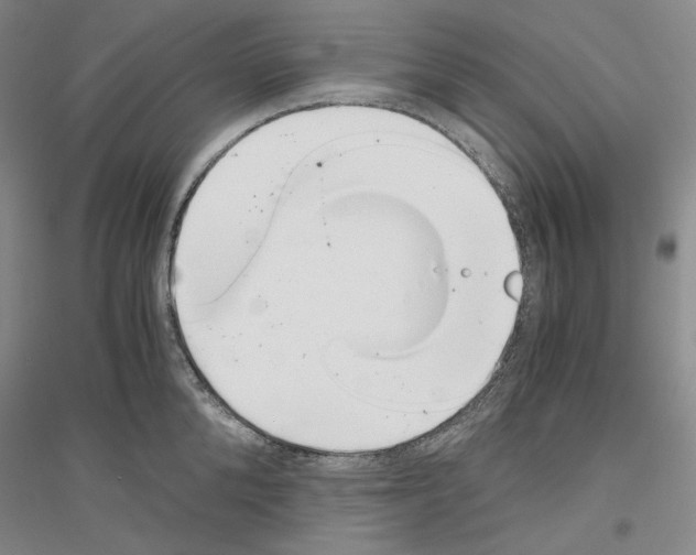 X0000116860904201002021104