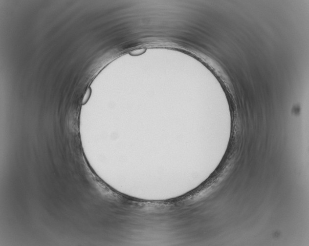 X0000116860905201002021104