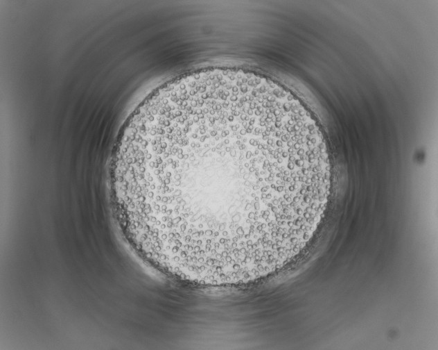 X0000116860906201002021104