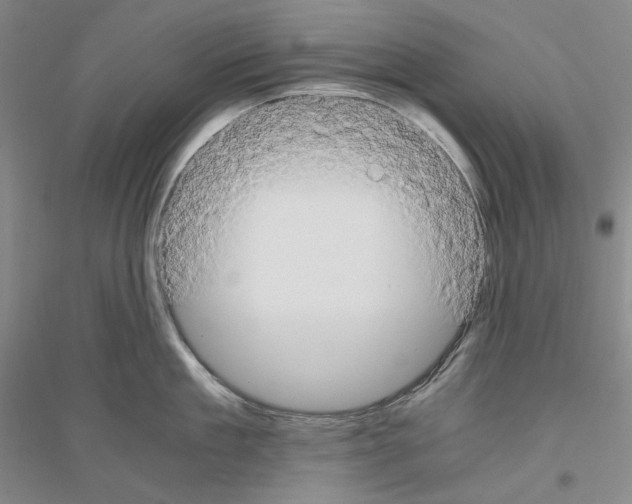 X0000116860909201002021103