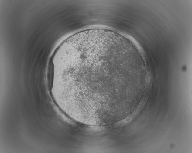 X0000116860910201002021103