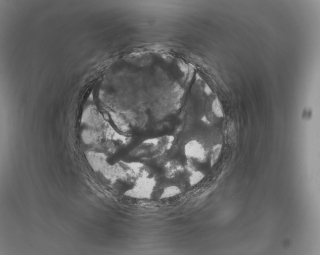 X0000116860913201002021103