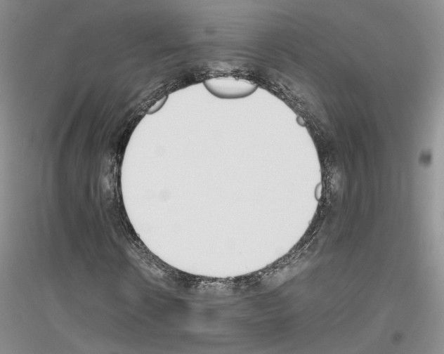 X0000116860914201002021103