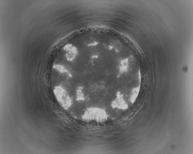 X0000116860919201002021103