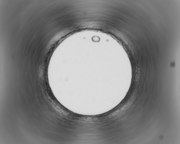 X0000116860922201002021103