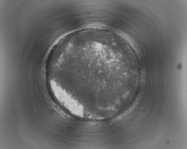 X0000116860923201002021103