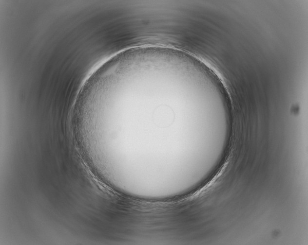 X0000116860925201002021103