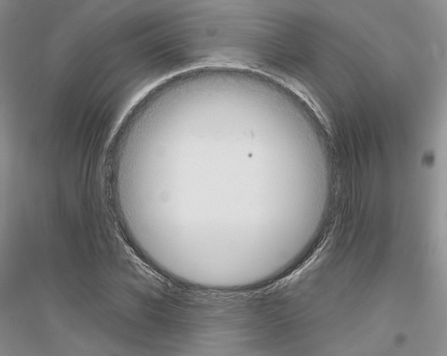 X0000116860926201002021103