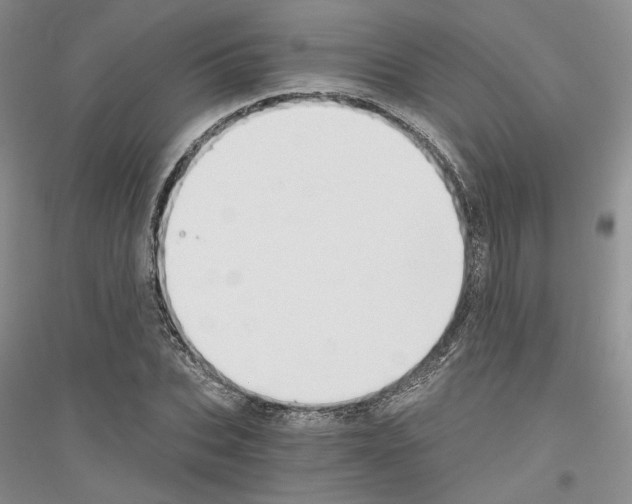 X0000116860927201002021103