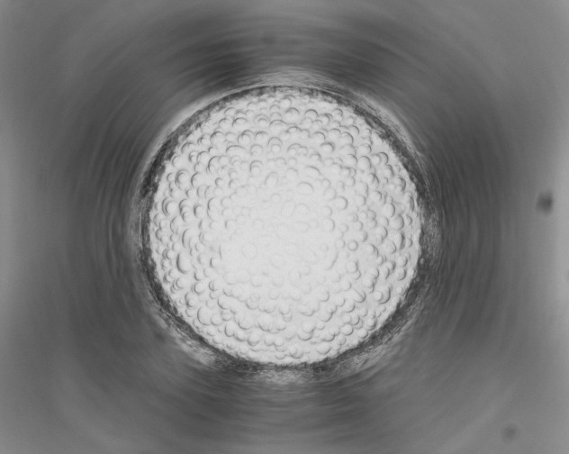 X0000116860931201002021103