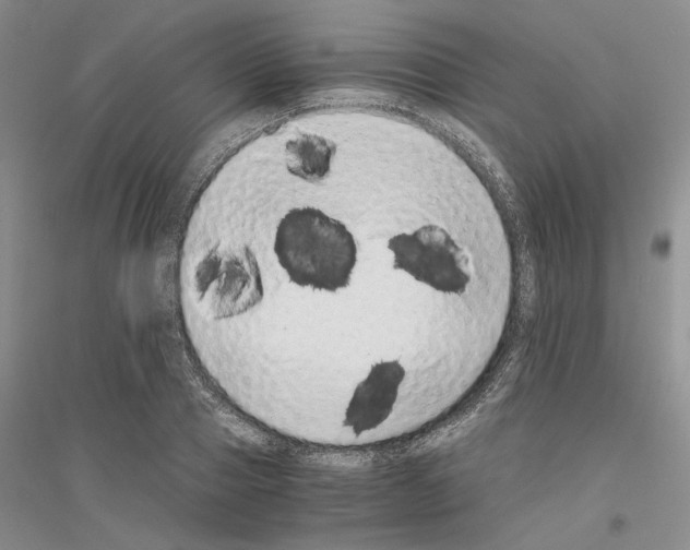 X0000116860937201002021103