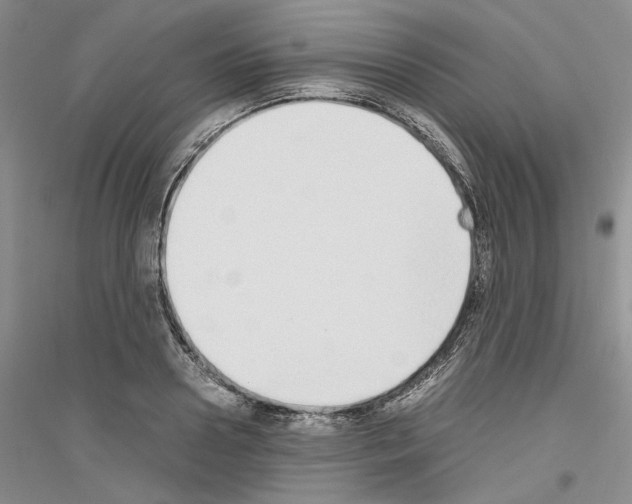 X0000116860938201002021103