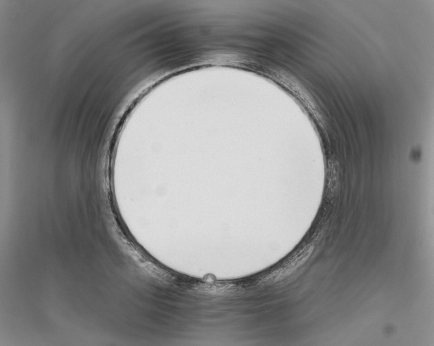 X0000116860939201002021103