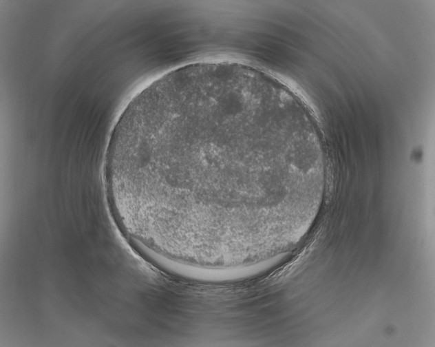 X0000116860943201002021103