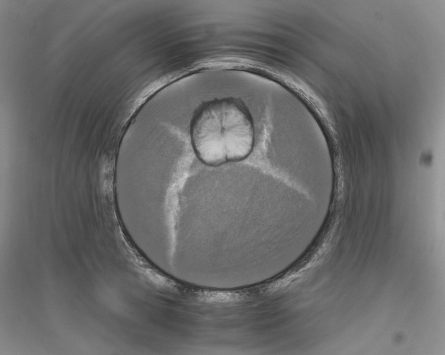 X0000116860945201002021103