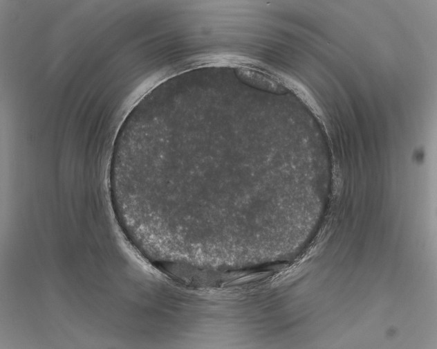 X0000116860946201002021103