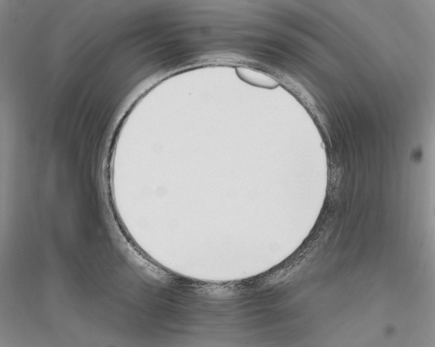 X0000116860947201002021103