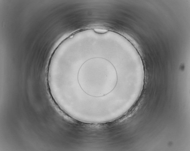 X0000116860949201002021103