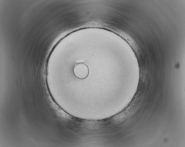 X0000116860950201002021103