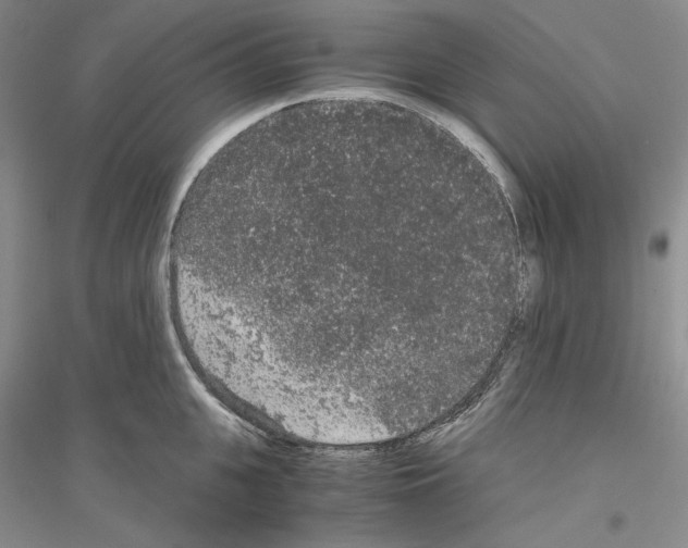 X0000116860951201002021103