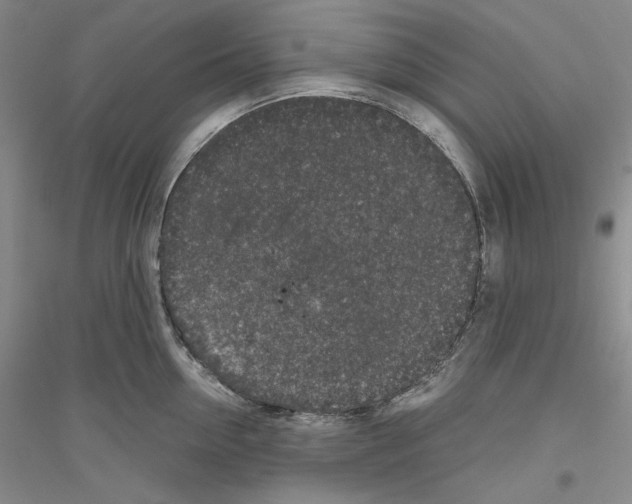 X0000116860954201002021103